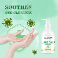 Marque privée Extrait de fruit de concombre Huile de zeste de citron Aloe Vera Savon liquide pour les mains Nettoyant pour les mains Savon pour les mains