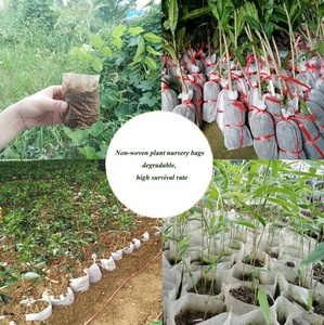 Sacs de culture écologiques en non-tissé biodégradable, pots de pépinière pour la croissance des plantes, taille personnalisée blanche - Product Image 5
