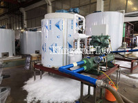 Agua fresca o salada planta de hielo en escamas máquina con 300KG a 30 toneladas capacidad diaria