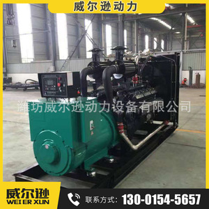 เครื่องกำเนิดไฟฟ้าดีเซลเซี่ยงไฮ้ 800 กิโลวัตต์ สำหรับอุตสาหกรรมเหมืองแร่ ใช้ไฟ 50 เฮิรตซ์ 1500 รอบต่อนาที 400/230 โวลต์ - Product Image 2