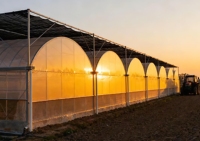 Serre Multispan agricole commerciale à faible coût avec système hydroponique de qualité supérieure rentable à vendre