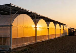 เรือนกระจกหลายช่วงสำหรับการเกษตรเชิงพาณิชย์พร้อมระบบไฮโดรโปนิกส์ - Product Image 5