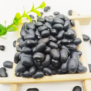 Harga Crop China Black Mapte Bean Baru Kacang Merah Hitam dengan Kernel Putih