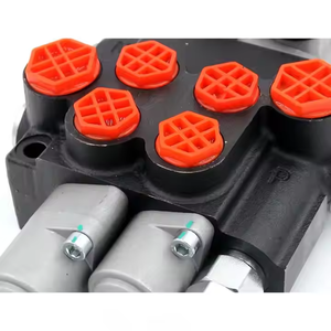 Válvula proporcional ajustable de aceite hidráulico manual, monobloque, 2 secciones, 2 carretes, fabricante de carretes, 1, 2, 2 - Product Image 6