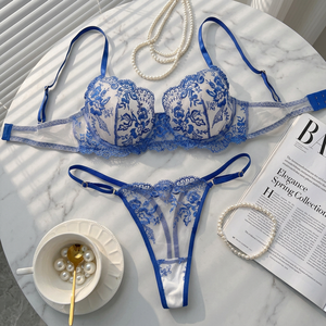Women's Blue Floral Embroidery Sheer Mesh Bra and Thong <b>Set</b> Underwire Lace Lingerie <b>Set</b> Comfortable Intimates <b>Sexy</b> Bra <b>Set</b> - Product Image 2