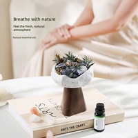 Coffret Cadeau Aromathérapie Wild Sanctuary – Diffuseur à Bâtonnets Luxueux, Parfum d'Ambiance Sans Fumée, Article Décoratif, Souvenir