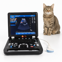 Peralatan kedokteran hewan sapi Sunbright, layar 15 inci, USG Doppler warna 3D portabel