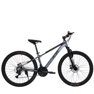 24 Inch Mountain Bike 21-Speed Dual Disc/V Brake Adjustable Ergonomic Seat Bicycle for Men Women Adult