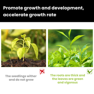 Engrais liquide revitalisant pour plantes de jardin 50 ml, favorise une croissance saine des feuilles et un développement robuste - Product Image 3