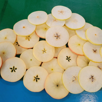 DY Fruit- en groentesnijmachine, verstelbare snijdikte 600-1500kg/u, industriële fruitsnijmachine