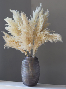 Flores Secas de Pampas Estilo Boho, Ecológicas, Decoración para Halloween, Año Nuevo, Bodas, Navidad, Día de la Madre, Día de San Valentín - Product Image 2