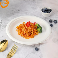 Assiette à dîner en bagasse de canne à sucre biodégradable jetable avec couvercle sans danger pour la réfrigération pour les restaurants hôtels occasions de fête
