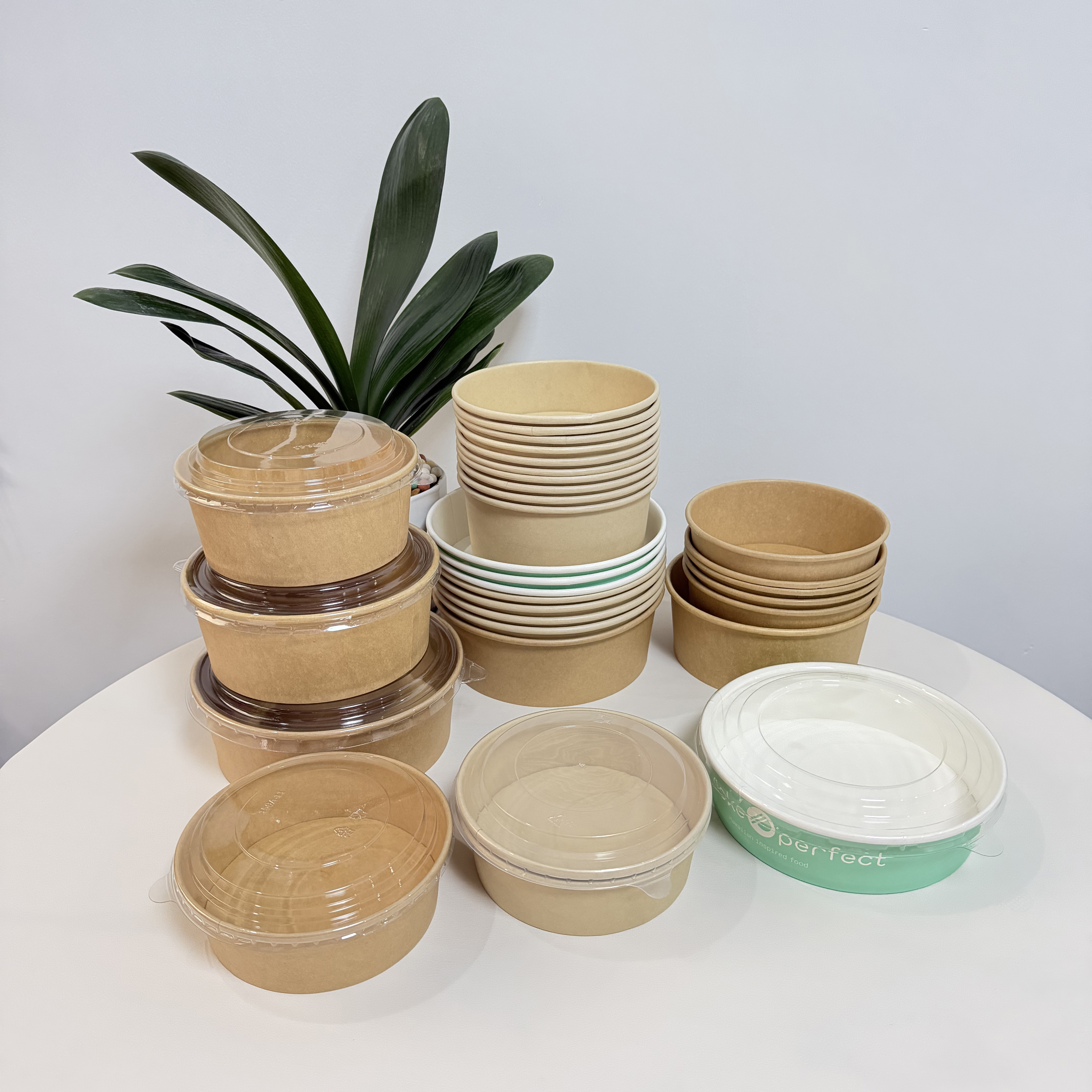 Disposable White Bamboo Kraft Paper Plate Bowl ECO Friendly for Salad Noodles Pizza Cookies Hamburgers Stamped Lid