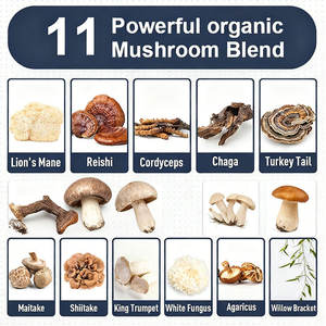 Хит продаж, OEM, коллагеновый гриб, кофе, растворимый Органический кофе, адаптогенные грибы и MCT масло, грибной кофе - Product Image 4