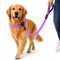 Ensemble collier et laisse pour chien en silicone moulé 3D rechargeable avec LED et fibres optiques, 14 modes d'éclairage, double charge Type-C