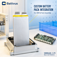BATTERIE LI-ION POLYMERES BATTIVUS 16000mAh 3.7V 59.2Wh, cellule en pochette 74x170mm, rechargeable pour stockage d'énergie solaire, alimentation de secours, OEM