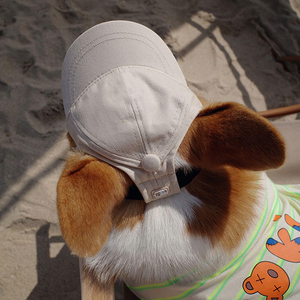 Verstellbare Visier kappe aus Polyester-Leinwand für Hunde Outdoor-Sport-Haustier hüte mit Ohr löchern Markenlogo Modisches Baseballkappen-Design - Product Image 4