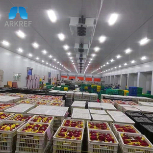Tiết Kiệm Năng Lượng Lạnh Tươi Khoai Tây Táo Trái Cây Rau Đúc Sẵn Lạnh Lưu Trữ Lạnh Phòng Kho Giá - Product Image 1