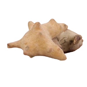Wu Bei Zi Wholesale <strong>High</strong> <strong>Quality</strong> Chinese Herb Gallnuts <strong>Schisandra</strong> Chinensis - Product Image 1
