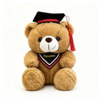 Ours en peluche de graduation avec toque de diplômé, ours en peluche multicolore, cadeau souvenir de graduation, peluche personnalisée OEM ODM