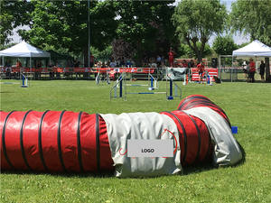 Sac de selle en PVC portable, de haute qualité, pour chiens, agilité, tunnel d'entraînement, sac de sable - Product Image 2