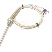 Sonde thermique en platine HY RTD PT100 PT1000 -200-400°C en acier inoxydable, forme à vis, anneau, broche, OEM
