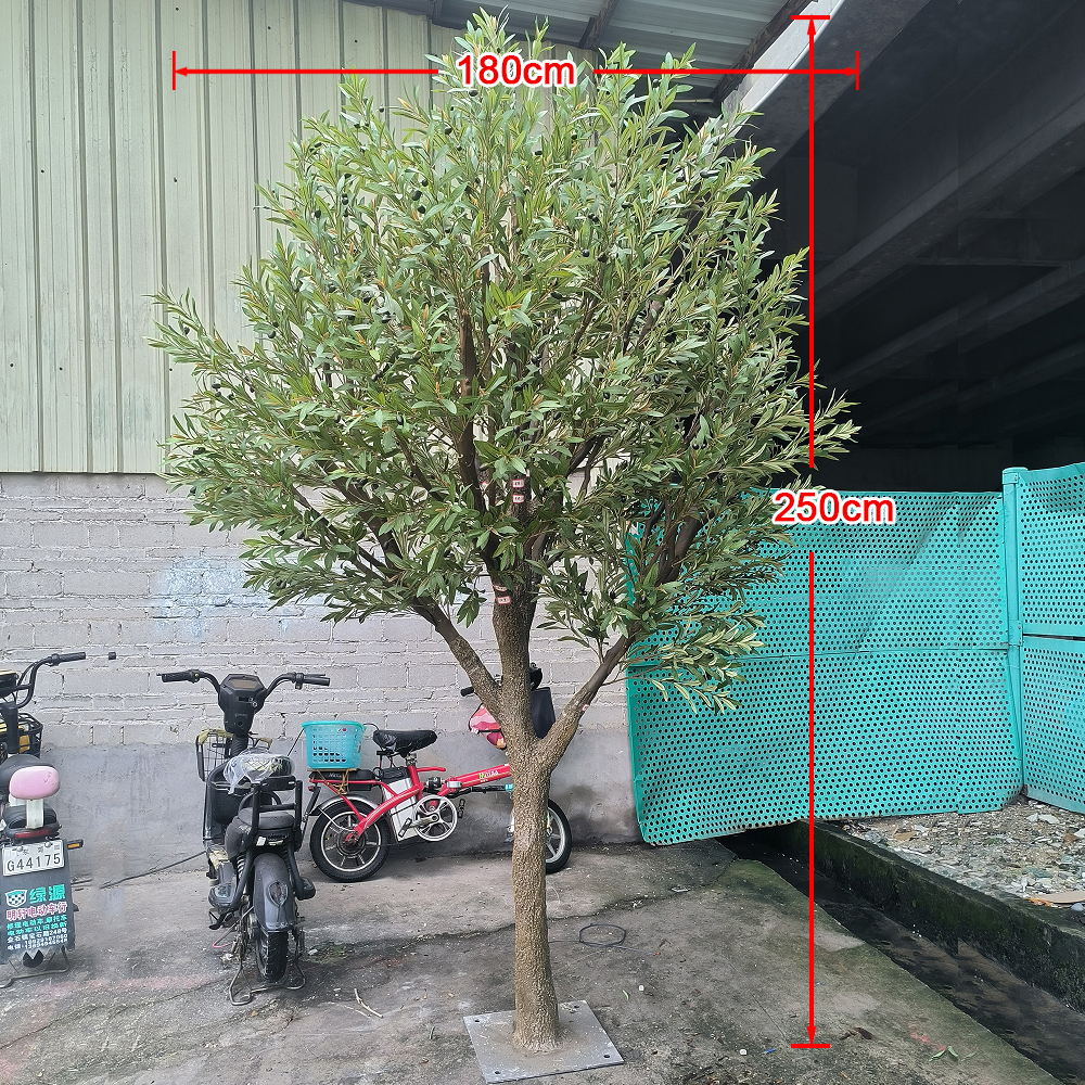 250cm