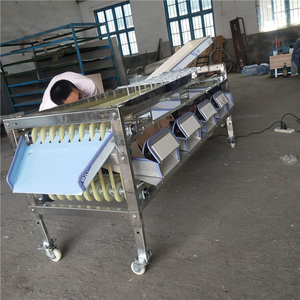 Chất lượng cao ngày Kích thước SORTER băng tải phân loại lựu phân loại máy - Product Image 6