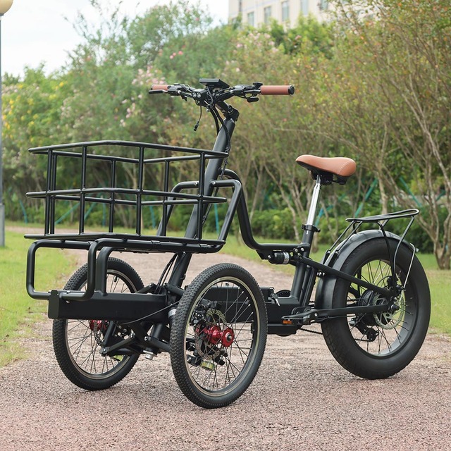 3 Wheel Electric Cargo Bike 48V 500W 750W Brushless Lithium Battery 20 Inch Rear Wheel Fat Tire Trike