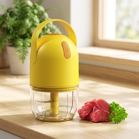 Mini-hachoir électrique sans fil rechargeable par USB pour bébé, avec lame en acier inoxydable, certifié LFGB, en plastique ABS+PS