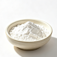Poudre de Kaolin Calciné et de Métakaolin de Qualité Industrielle Hautement Réactive, Adjuvant Pozzolane pour Béton Durable, Ciment et Réfractaires
