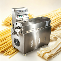 Machine d'extrusion de vermicelles de tapioca et de patate douce 100 kg/h du fournisseur chinois à prix compétitifs