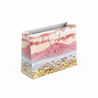 Sac en papier avec poignée en papier de haute qualité, impression d'écran personnalisée avec logo, nouveau design 2026, pour chaussures, vêtements, fourrure, chaussettes