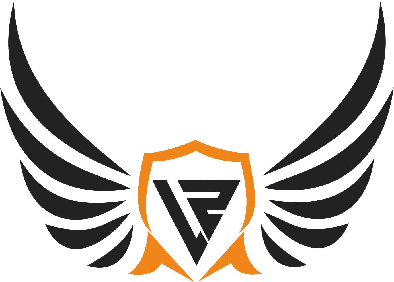 Changzhou Linzhi Import And Export Co., Ltd. logo