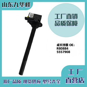 คอยล์จุดระเบิดคัมมินส์ R80884 5557908 สำหรับเครื่องยนต์ก๊าซธรรมชาติ N15 อะไหล่ทดแทน - Product Image 5