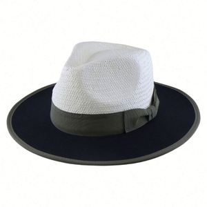 หมวกปานามาแบบใหม่ปี 2025 สำหรับผู้ชายและผู้หญิง ตกแต่งด้วยการเย็บสองสี ป้องกันแสงแดดสำหรับฤดูร้อน ลายเรียบง่าย พิมพ์ลายสกรีนบนผ้าไหม เหมาะสำหรับชายหาด ใช้สำหรับงานโปรโมชั่น - Product Image 5