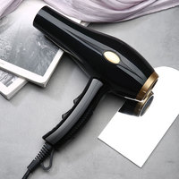 Sèche-cheveux ionique professionnel pour salon et usage domestique, moteur AC 2000W, protection contre la surchauffe, bouton de refroidissement, 2 vitesses