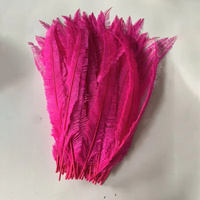 Plumes d'autruche Nandu en gros, noires, bleues et blanches, pour la décoration artisanale, les fêtes, les carnavals, les costumes, la décoration intérieure et les mariages