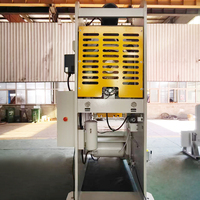 Machine de poinçonnage automatique à alimentation directe d'usine, presse pneumatique haute efficacité à prix abordable