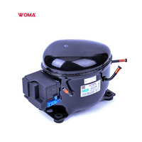 Compresseur de réfrigération miniature Zel GVY66AA 220-240V/50Hz R134a 1/4hp pour réfrigérateur