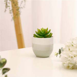 Mini Cactus <span class=keywords><strong>Bonsaï</strong></span> Céramique Succulente Planteur Conception Panachée pour Balcon Décor Décoration de La Maison Miniature Style Minimaliste <span class=keywords><strong>Pot</strong></span> - Product Image 3