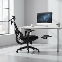 Chaise ergonomique intelligente et réglable en maille avec support lombaire dynamique, structure en plastique, style exécutif, garantie 3 ans pour la maison moderne