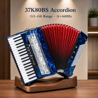 Instrument de musique populaire, accordéon à 37 touches et 80 basses, à lames italiennes, pour débutants et adultes, instrument de pratique