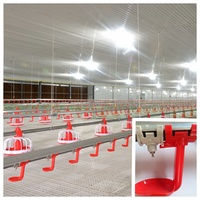 Cages à poulets de chair automatiques durables de type H avec mangeoire et abreuvoir, durée de vie de 15 à 20 ans, garantie 1 an, équipement pour élevage de poulets