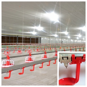 Gabbie Automatiche Tipo H per Polli da Carne, Resistenti, con Mangiatoia e Abbeveratoio, Durata 15-20 Anni, 1 Anno di Garanzia, Attrezzatura per Allevamento di Polli - Product Image 1