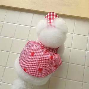 Bonita princesa cachorro azul camisa a cuadros Teddy Suspender ligero verano estilo transpirable vestido para gatos cumpleaños Navidad - Product Image 6