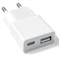 Weview 5W 2-Port USB-C & USB-A Adaptor Daya Perlindungan Arus Berlebih untuk Pembaca EBook Xperia MP3 Smartphone (Putih 1 Paket)
