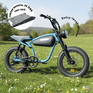 Vélo électrique tout-terrain 20X4.0 à pneus larges, vélo électrique à suspension intégrale, vélo électrique cruiser, vélo électrique pour enfants, pour flottes de <span class=keywords><strong>location</strong></span> - Product Image 1