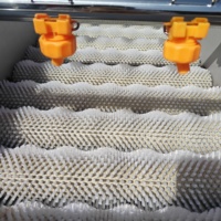 Machine de nettoyage multifonctionnelle à rouleaux parallèles pour légumes et canne à sucre, pulvérisation haute pression, machine à laver les fruits