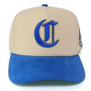 Gorra de béisbol de algodón con Logo bordado 3D, gorro de béisbol personalizado de alta calidad, 5 paneles, estilo Marco, dos tonos